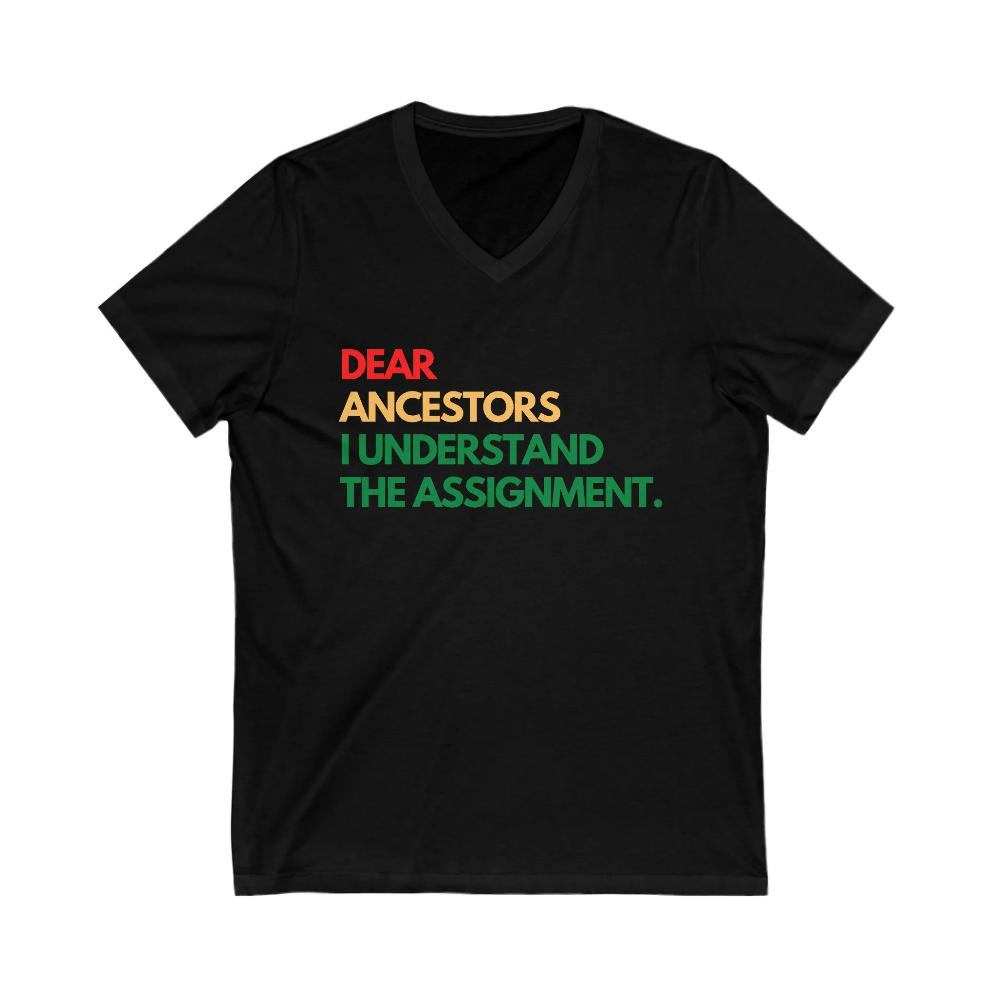 Dear Ancestors Unisex V-Neck Tee